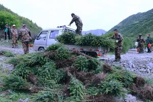 迎建党百年不忘初心 植青松万株牢记使命 