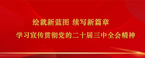 绘就新蓝图 续写新篇章 学习宣传贯彻党的二十届三中全会精神