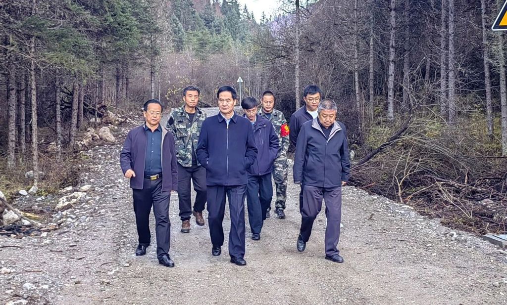微信图片_20241118172419.jpg 微信图片_20241118172419.jpg