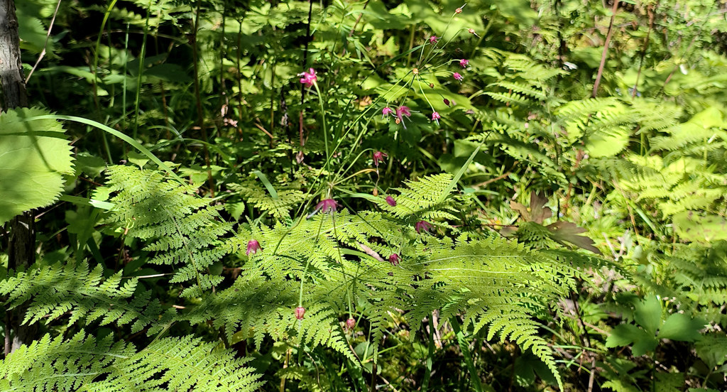 微信图片_20251029145028_16_235.jpg 微信图片_20251029145028_16_235.jpg