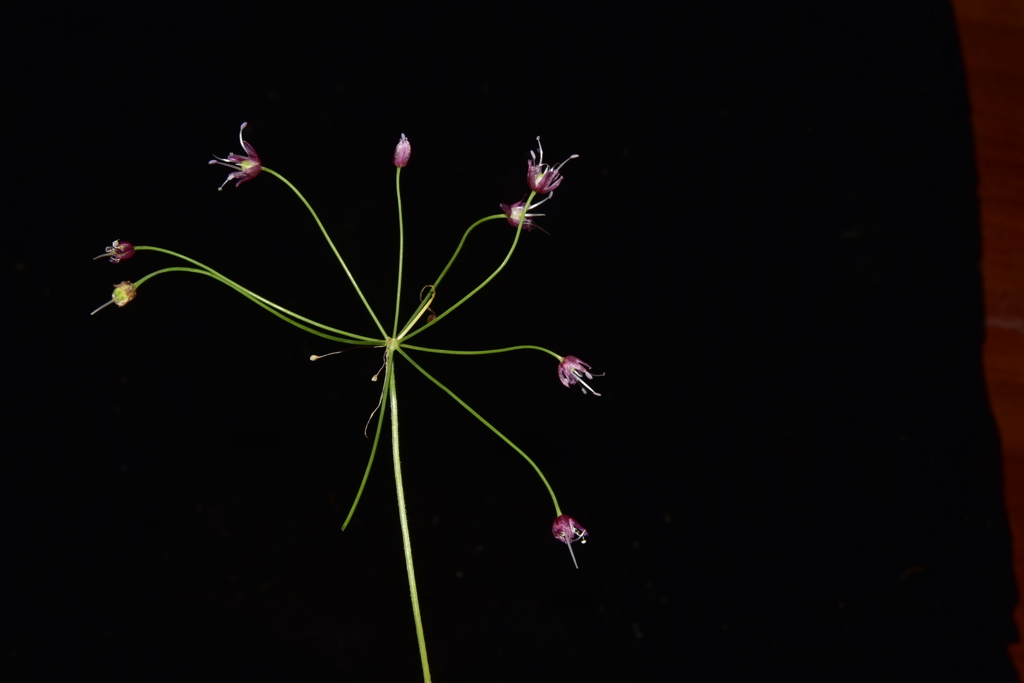 微信图片_20251029145018_14_235.jpg 微信图片_20251029145018_14_235.jpg