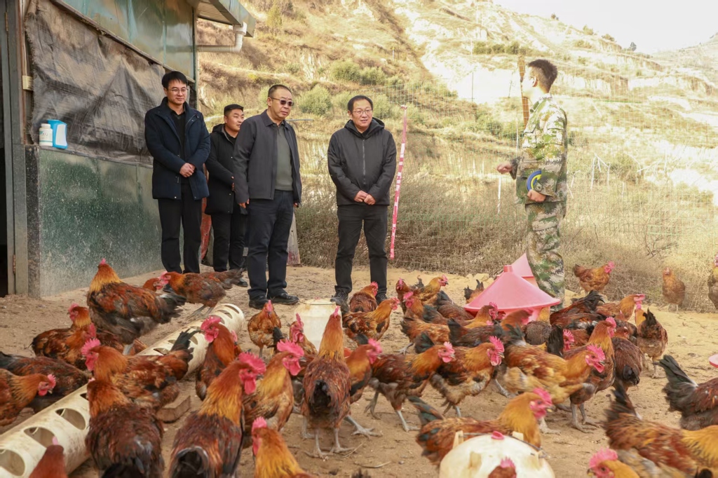 曹祥国督查2.jpg 曹祥国督查2.jpg