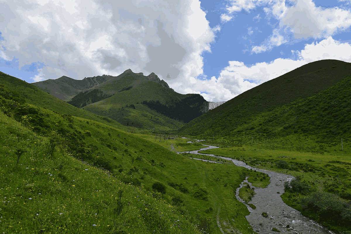 车巴护林点风景 143.jpg